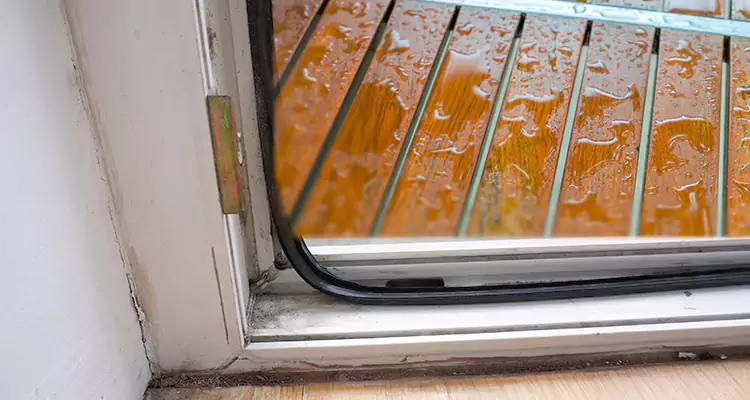 Water Leaking Wooden Patio Doors Repair in Oakland Park, FL