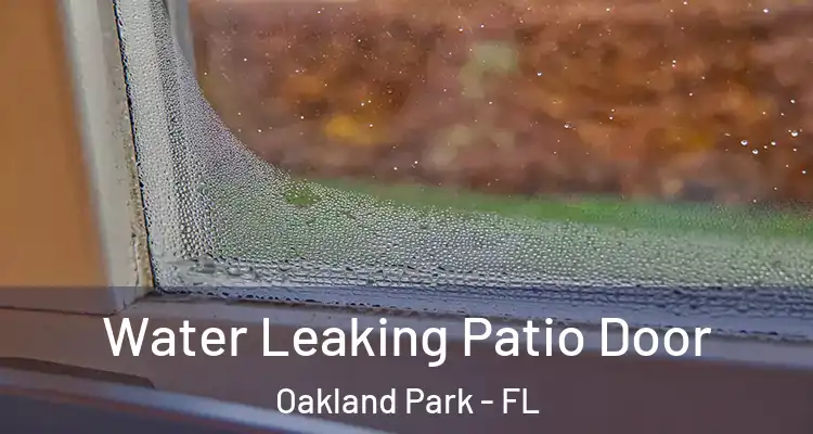  Water Leaking Patio Door Oakland Park - FL
